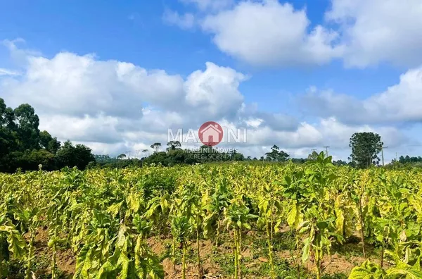 Vende-se Sítio em Alto Mosquitinho, Agronômica / SC