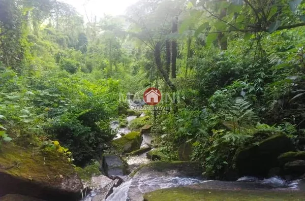 Vende-se Sítio com Casa no bairro Sabugueiro, Vitor Meireles / SC