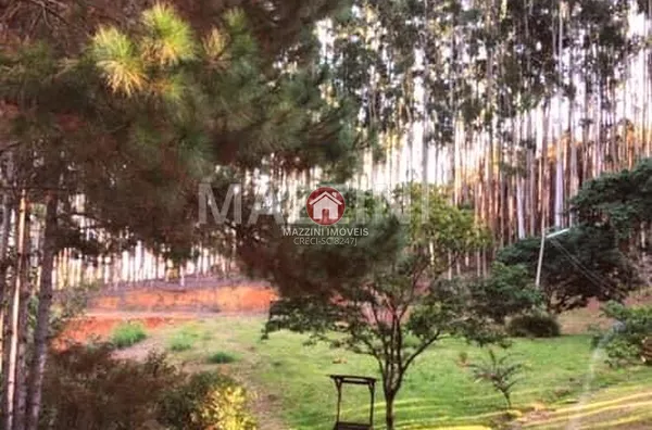 Vende-se Sítio em Cobras Sul, Aurora / SC