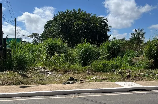 Terreno para venda,  Cruzeiro (icoaraci), Belem - Foto 2