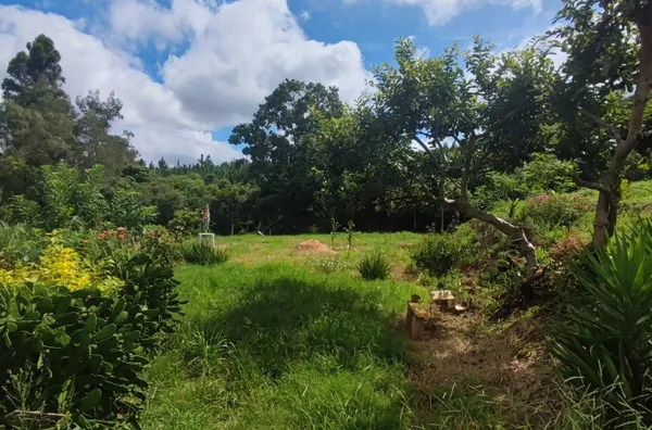 Sítio para venda,  Ribeirão Grande, Buri