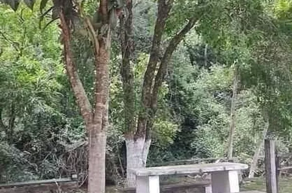 Chácara para venda,  Saltinho, Nova Campina