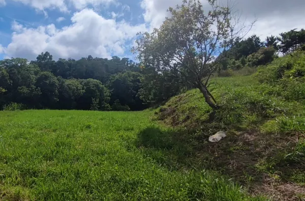 Sítio para venda,  Ribeirão Grande, Buri