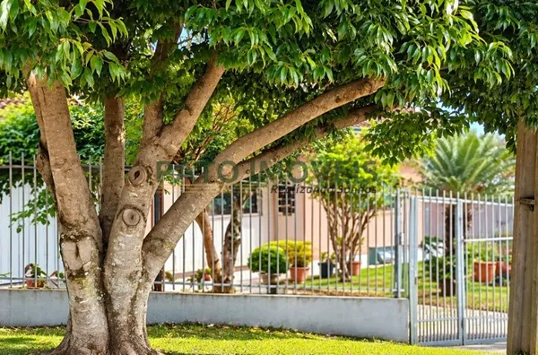 CASA PARA VENDA NO BAIRRO JARDIM PRIMAVERA - Foto 15
