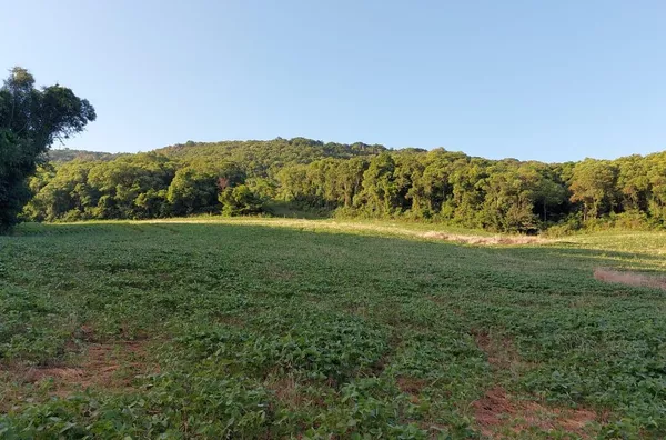 PROPRIEDADE RURAL EM MARIÓPOLIS