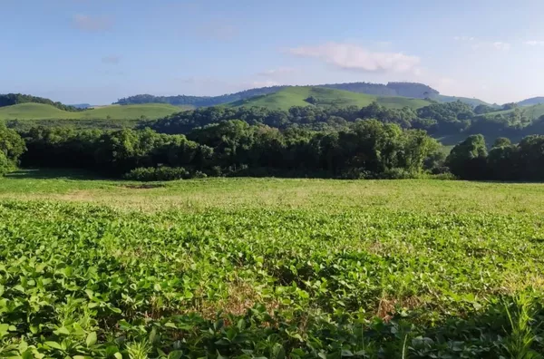 PROPRIEDADE RURAL EM MARIÓPOLIS