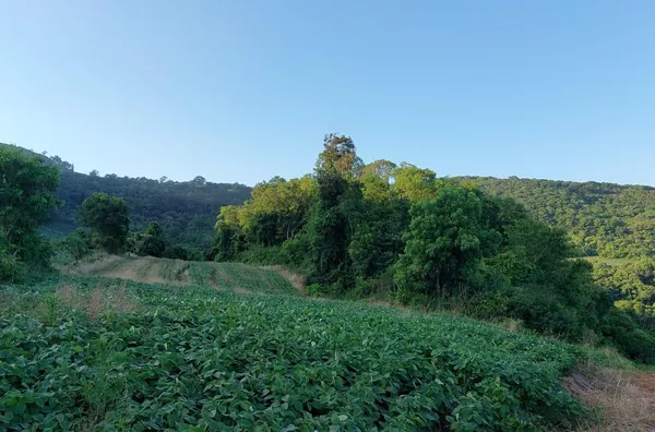 PROPRIEDADE RURAL EM MARIÓPOLIS