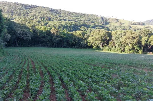 PROPRIEDADE RURAL EM MARIÓPOLIS