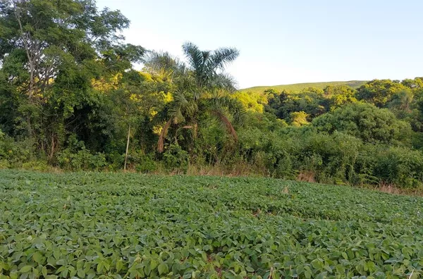 PROPRIEDADE RURAL EM MARIÓPOLIS