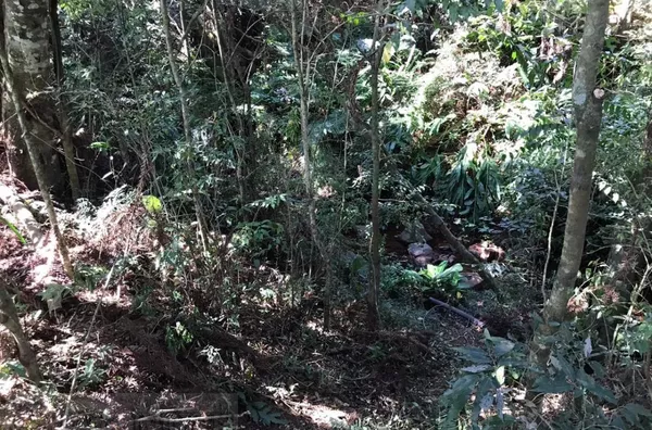 CHÁCARAS PARA VENDA PRÓXIMA DO PERÍMETRO URBANO