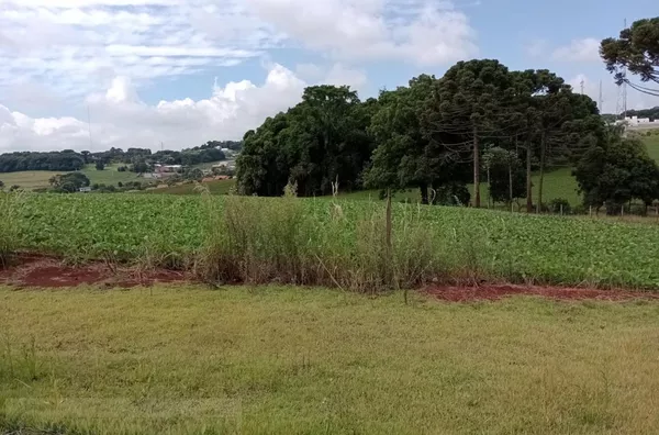 TERRENO PARA VENDA NO BAIRRO CADORIN