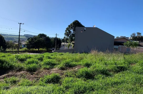 TERRENO DE ESQUINA A UMA QUADRA DA AVENIDA TUPI, BAIRRO CRISTO REI