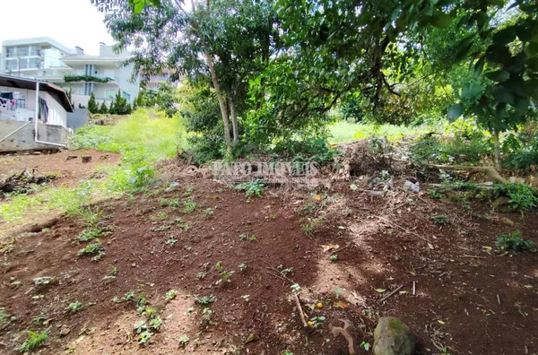 TERRENO PARA VENDA NO CENTRO DE PATO BRANCO