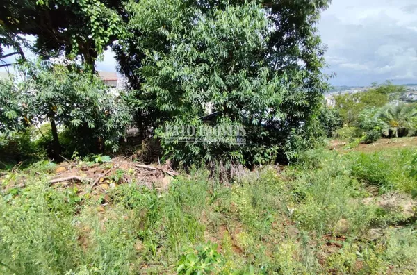 TERRENO PARA VENDA NO CENTRO DE PATO BRANCO