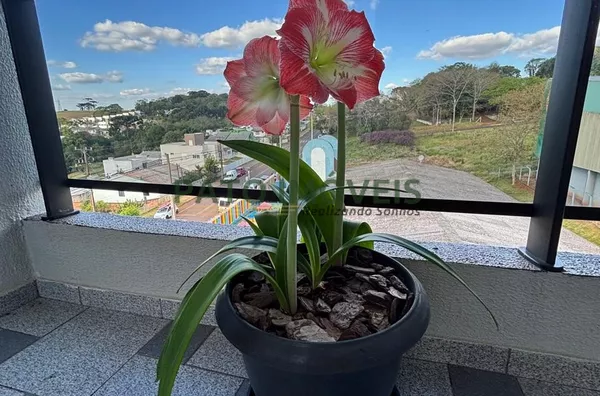 APARTAMENTO PARA LOCAÇÃO BAIRRO CADORIN - Foto 8