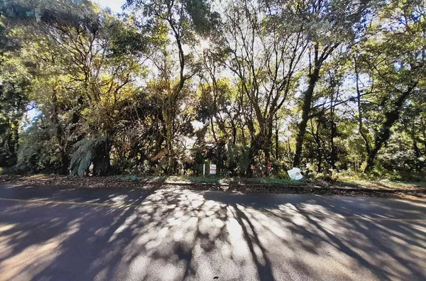Terreno para venda,  Alpes Verdes, Canela - Foto 3