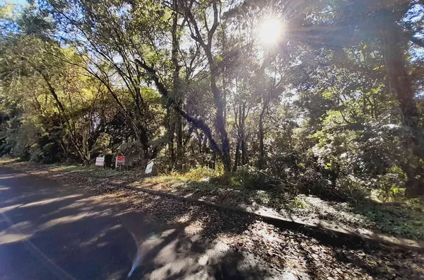 Terreno para venda,  Alpes Verdes, Canela - Foto 1