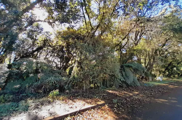 Terreno para venda,  Alpes Verdes, Canela - Foto 4