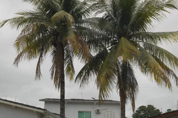 Casa para venda e aluguel, 3 quarto(s),  Cruz, Lorena