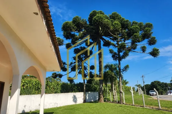 Terreno para venda,  Campestre Da Faxina, São José Dos Pinhais