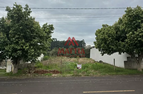 TERRENO AO NÍVEL DA RUA NO BAIRRO SÃO FRANCISCO