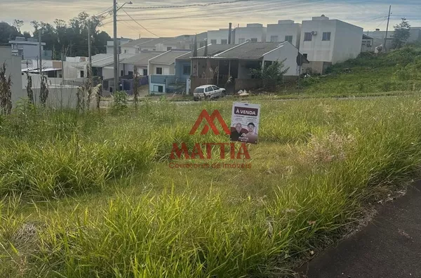 TERRENO DE ESQUINA NO BAIRRO FRARON