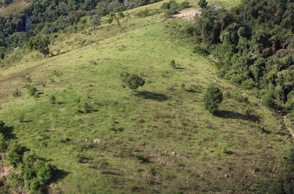 Sítio para venda,  São Bento De Caldas, Santa Rita De Caldas