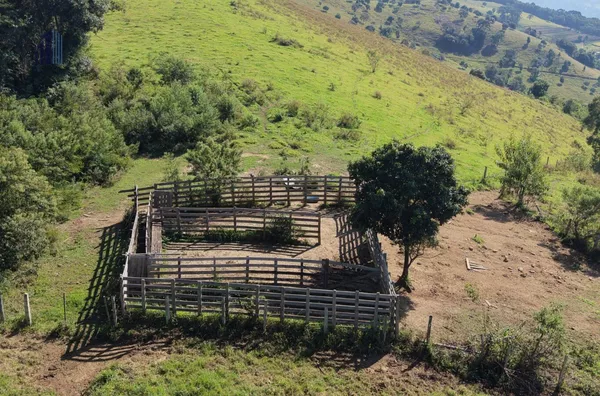 Sítio para venda,  São Bento De Caldas, Santa Rita De Caldas