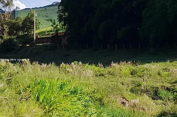 Chácara para Venda em Cambuí / MG no bairro RURAL