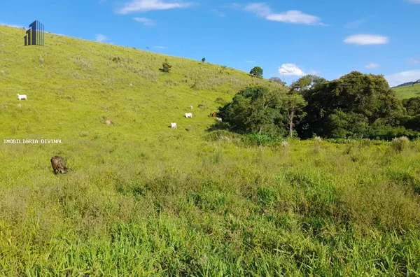 Chácara para Venda em Cambuí / MG no bairro RURAL