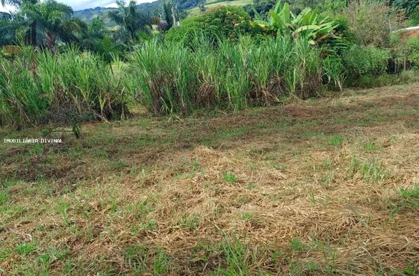 Chácara para Venda em Ouro Fino / MG no bairro RURAL