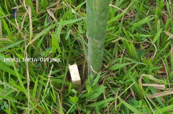 Terreno para Venda em Inconfidentes / MG no bairro SANTA IZABEL