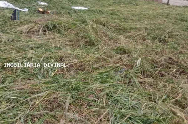 Terreno para Venda em Ouro Fino / MG no bairro Jardim Terezinha