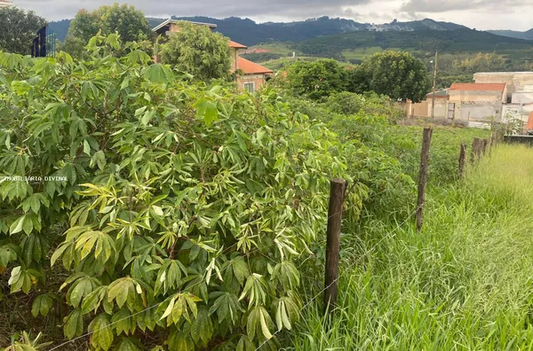 Terreno para Venda em Jacutinga / MG no bairro FLAMBOYANT