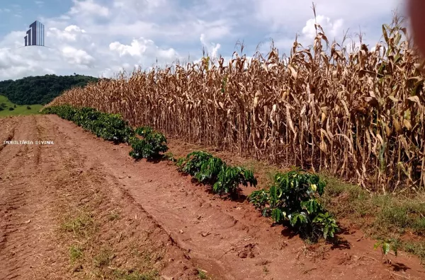 Fazenda para Venda em Andradas / MG no bairro RURAL