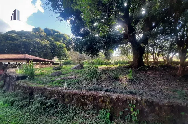 Sítio para Venda em Espírito Santo do Pinhal / SP no bairro RURAL