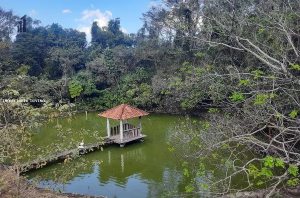 Sítio para Venda em Espírito Santo do Pinhal / SP no bairro RURAL