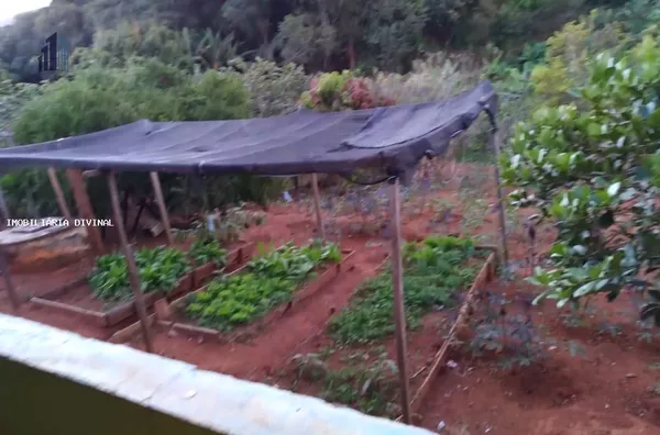 Chácara para Venda em Ouro Fino / MG no bairro RURAL