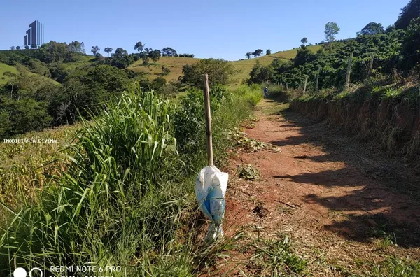 Chácara para Venda em Inconfidentes / MG no bairro RURAL