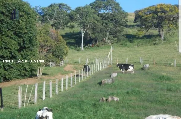 Sítio para Venda em Bueno Brandão / MG