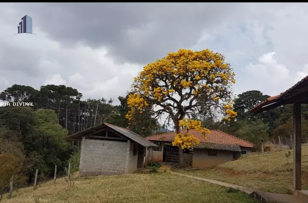 Sítio para Venda em Bueno Brandão / MG