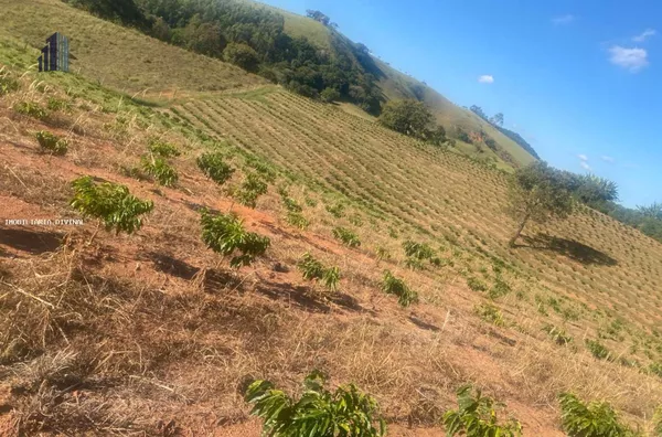 Fazenda para Venda em Monte Sião / MG no bairro BONITO