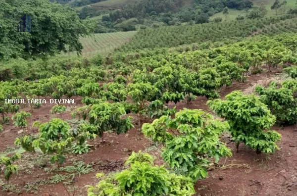 Fazenda para Venda em Monte Sião / MG no bairro BONITO