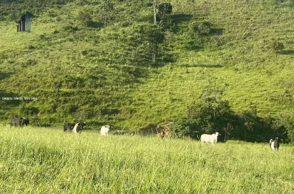 Fazenda para Venda em Monte Sião / MG no bairro BONITO