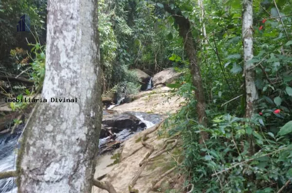 Chácara para Venda em Inconfidentes / MG no bairro RURAL