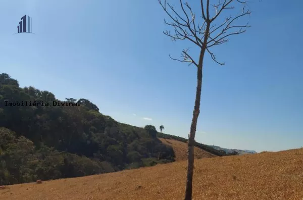 Chácara para Venda em Inconfidentes / MG no bairro RURAL