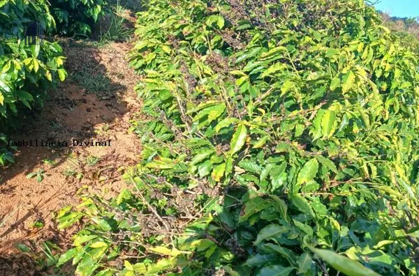 Chácara para Venda em Ouro Fino / MG no bairro RURAL