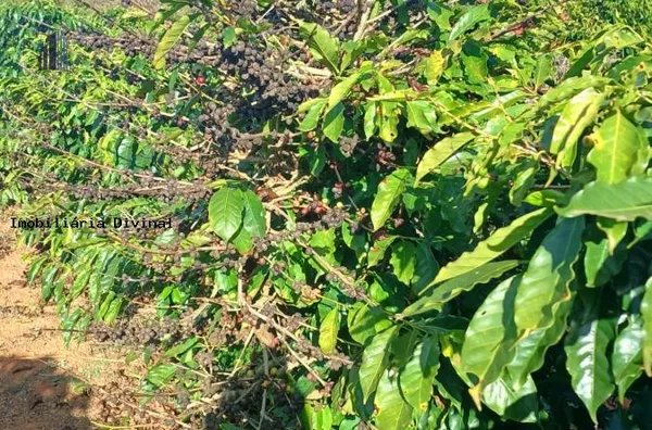 Chácara para Venda em Ouro Fino / MG no bairro RURAL