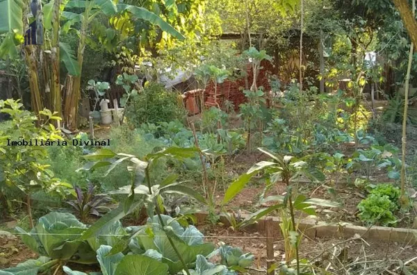 Chácara para Venda em Ouro Fino / MG no bairro RURAL