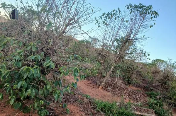 Chácara para Venda em Ouro Fino / MG no bairro RURAL